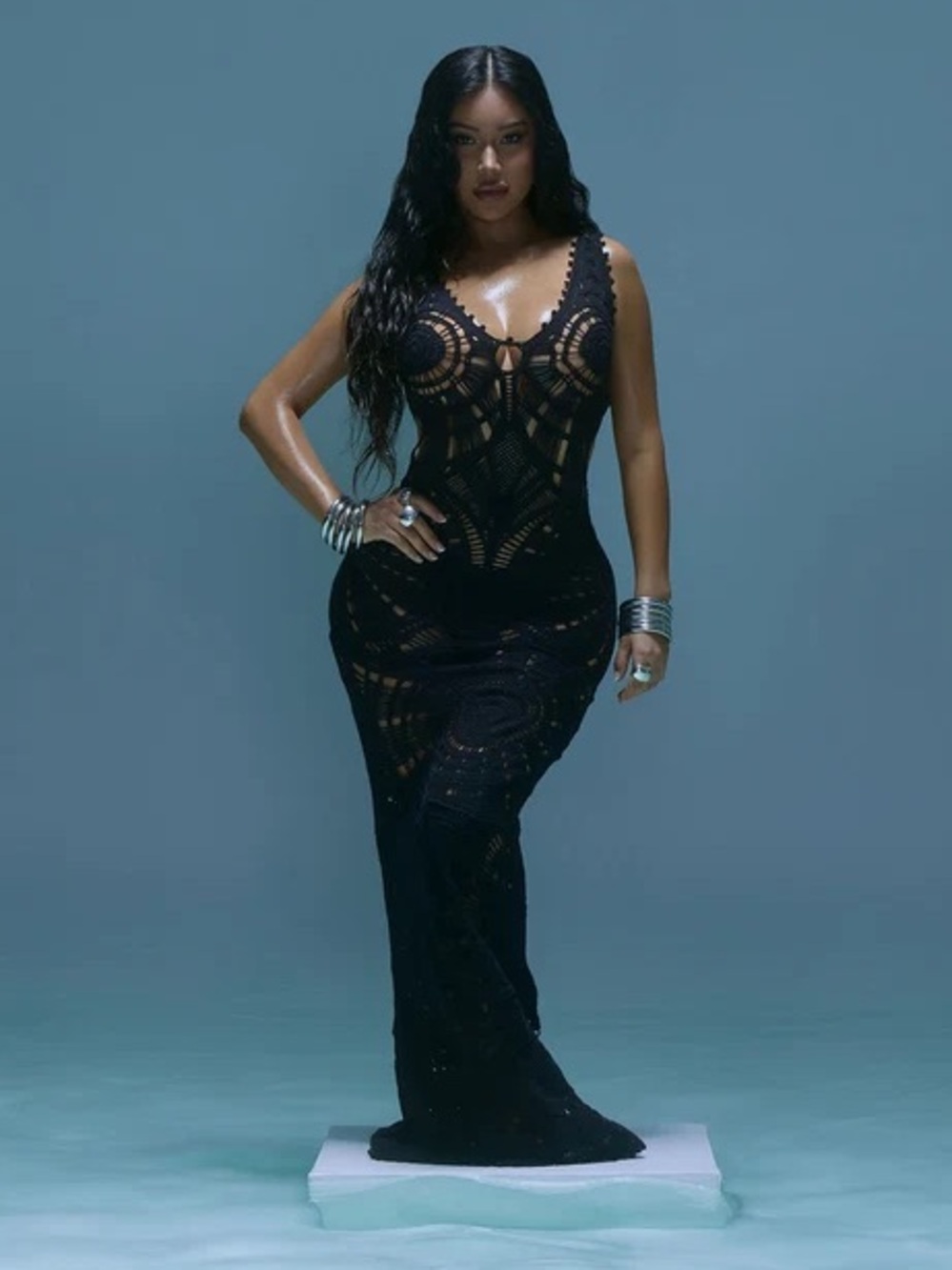 Fashion Nova Black Crochet Sheer Maxi Dress